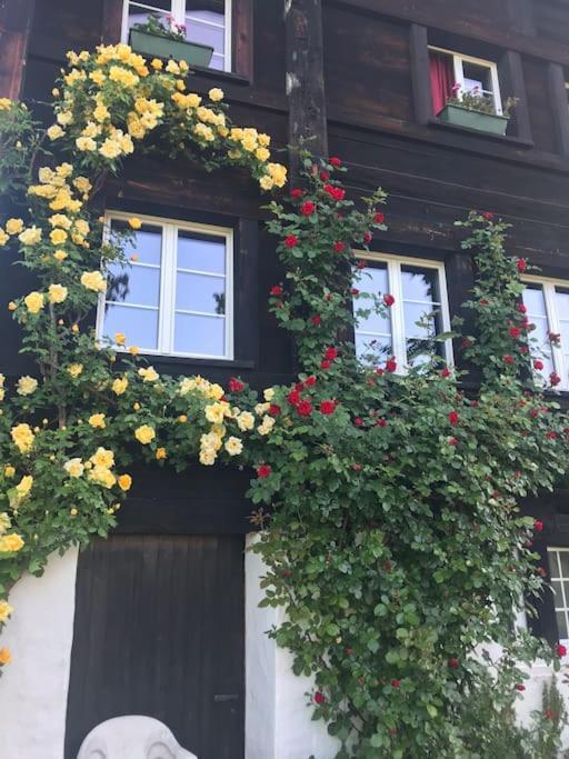 Charming Alps Apartment Perfect For Walk/Cycle/Ski Eschenbach Extérieur photo